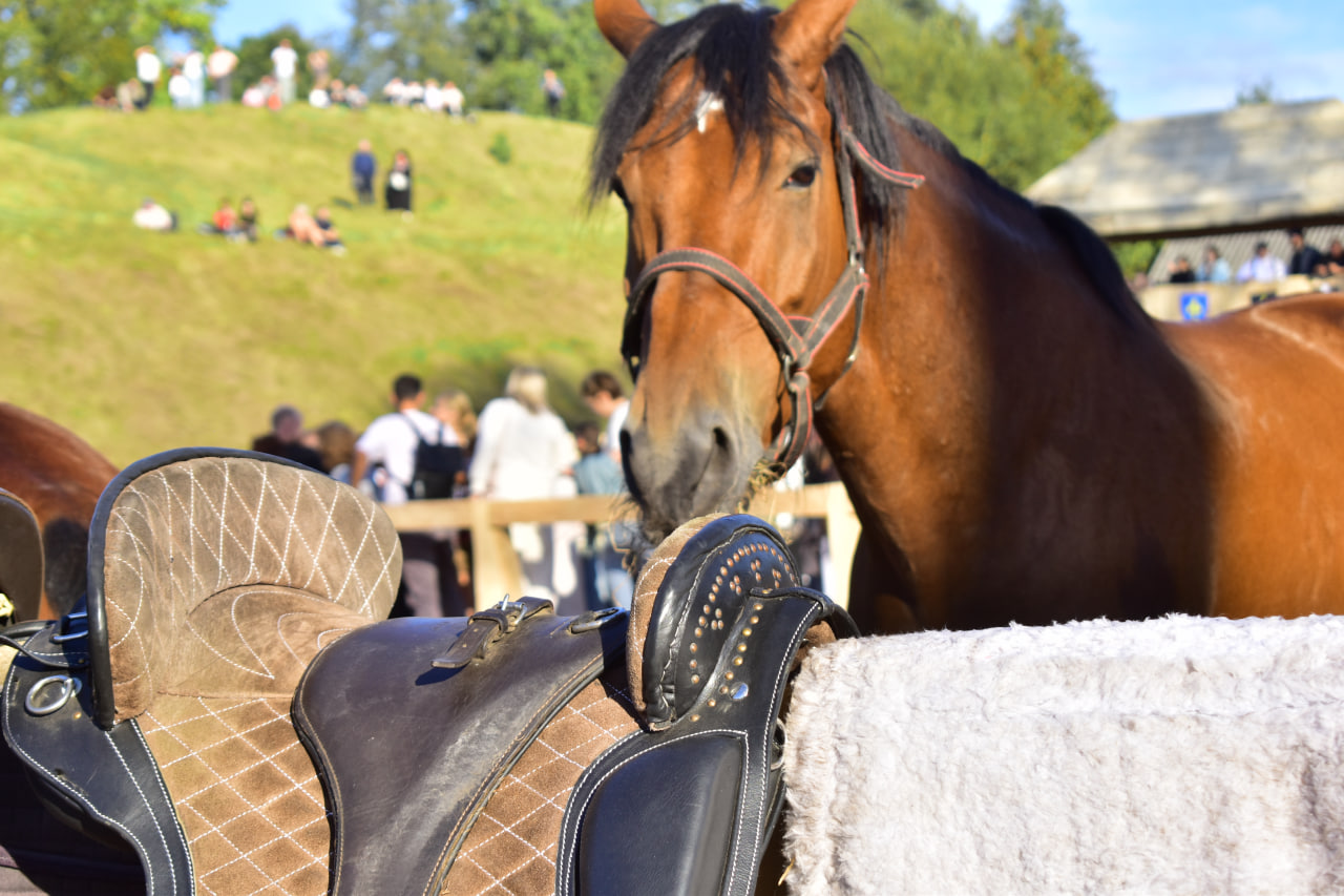 Заславль «Дожинки-2025»