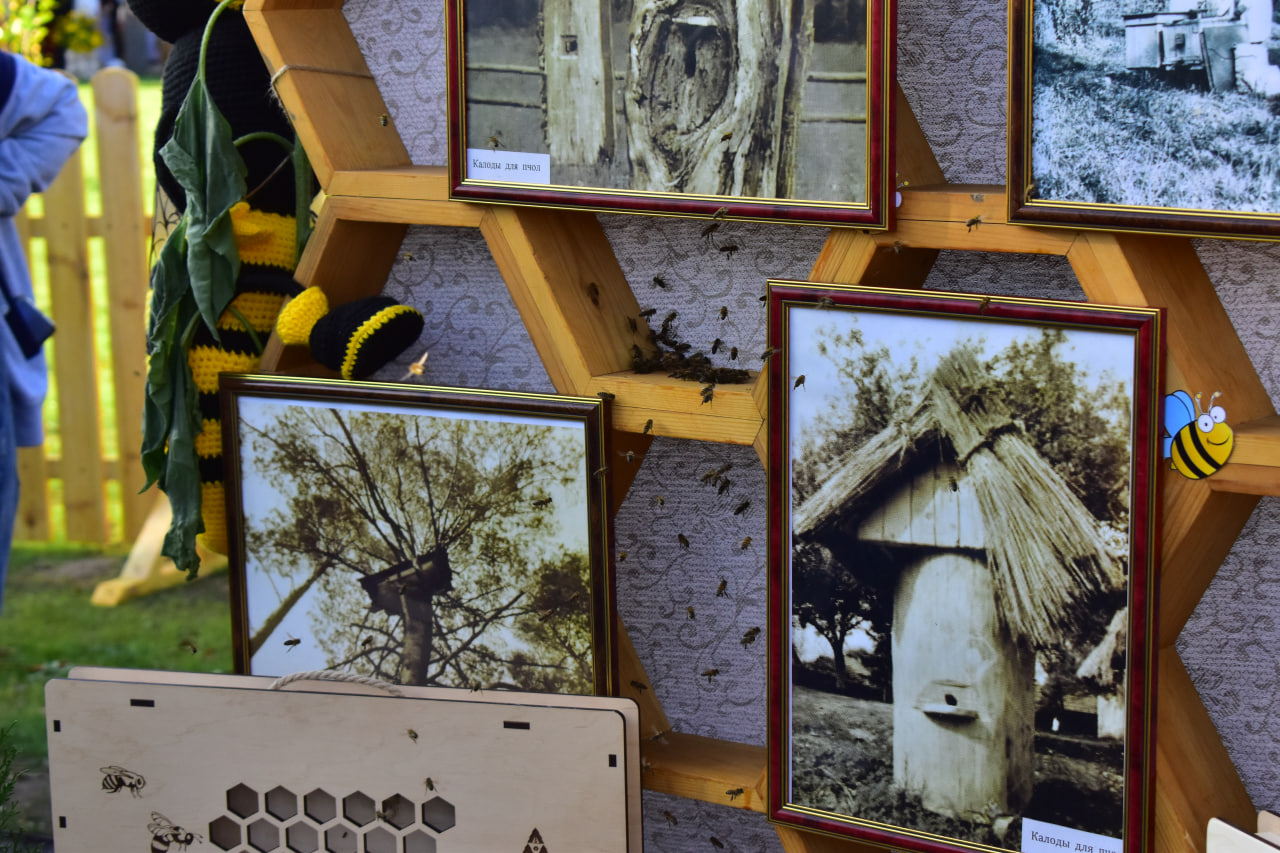 Заславль «Дожинки-2025»