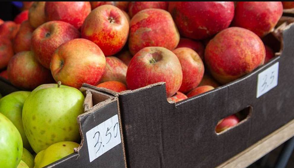 Осенние ярмарки в Могилеве: что почем и от чего зависят цены