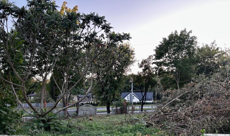 строительство микрорайона Весенний в Гродно 