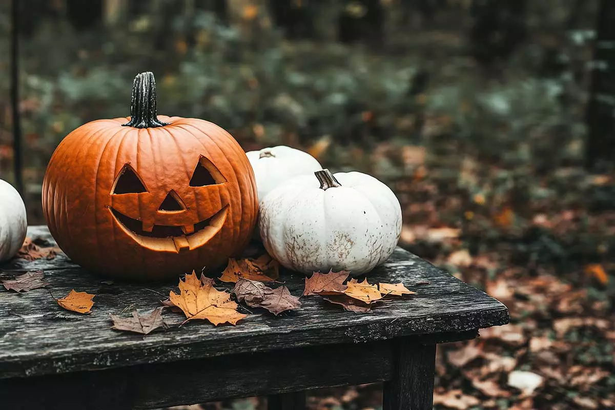 Как Хэллоуин приживается в Беларуси? Придумали три белорусских коктейля для вашей вечеринки