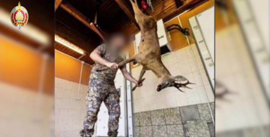 Охота, браконьерство