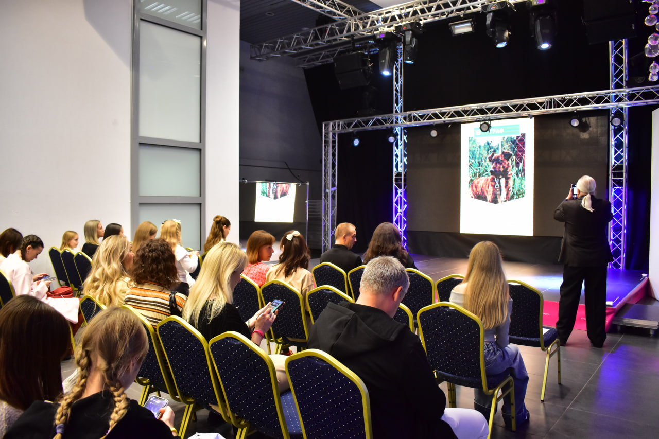 мероприятие проект