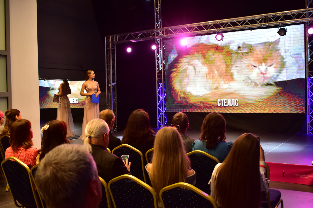 ЗООшанс благотворительное мероприятие