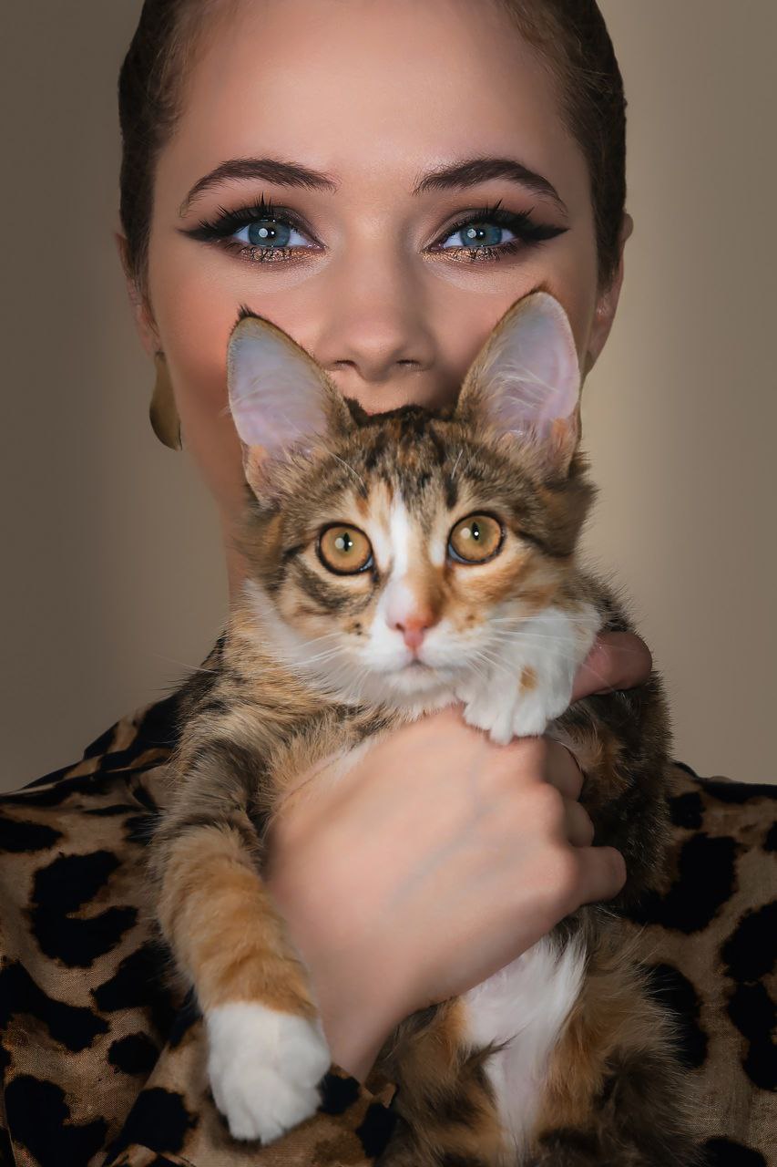 потрет кошка