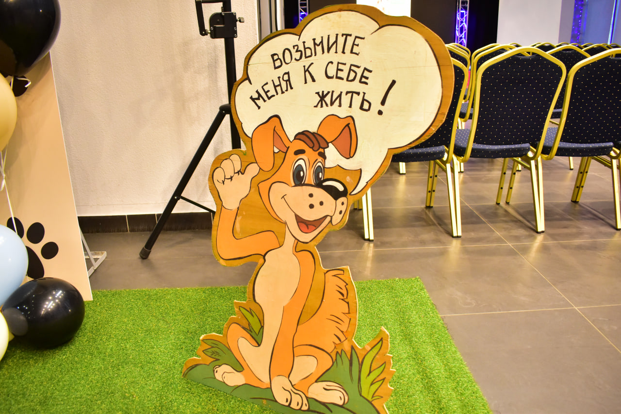 ЗООшанс собака