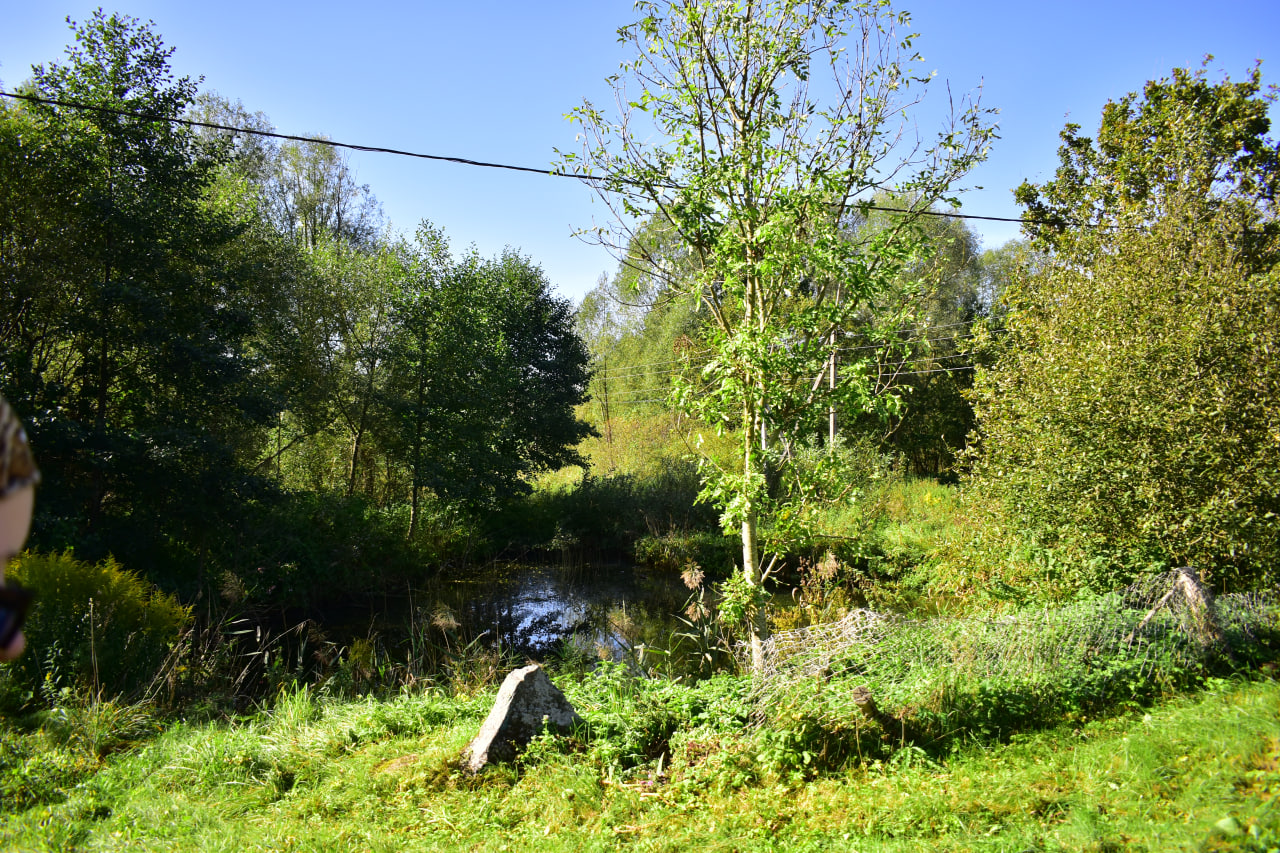 Западная Березина