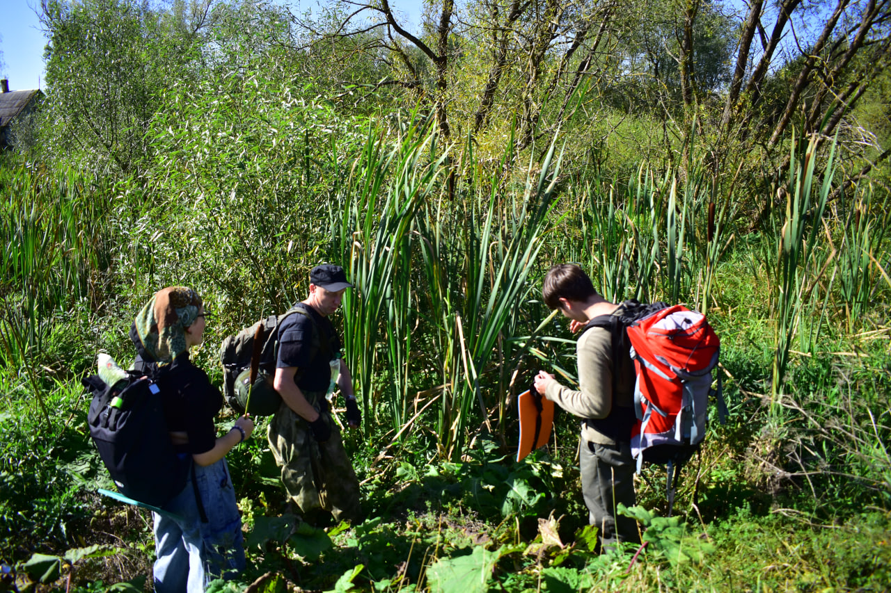 заросший берег