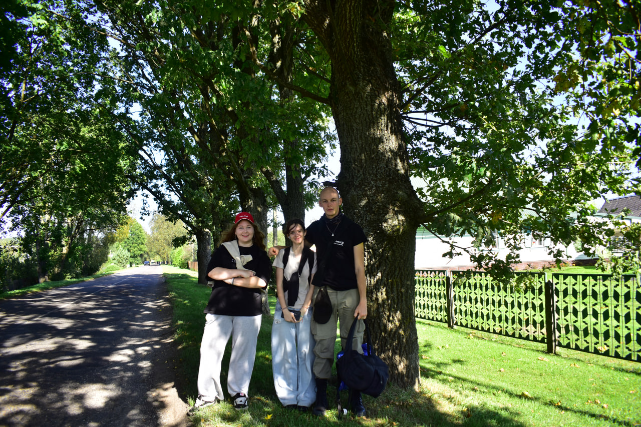 Дуброво дубы