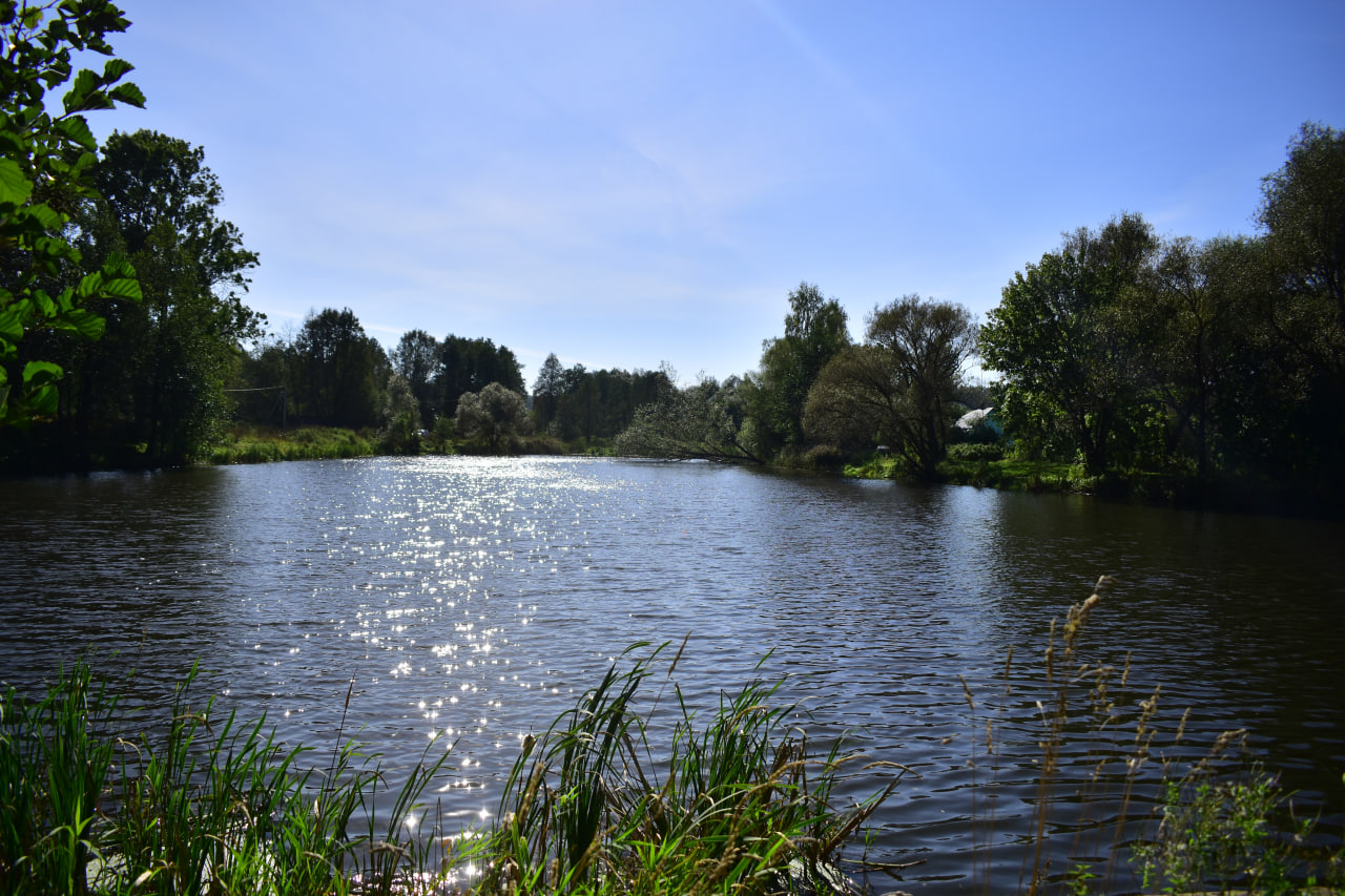 Дуброво пруд сажалка