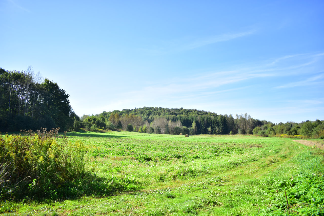 Дуброво Девичья горка