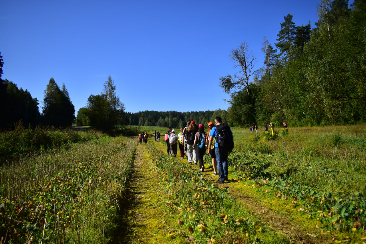 путешествие поле