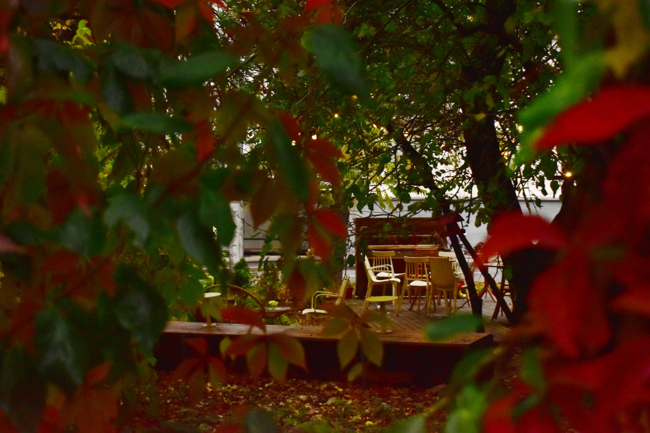 Осмоловка кафе