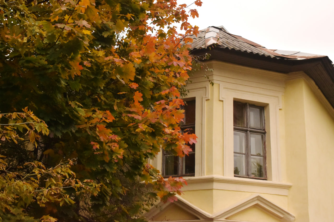 окна дом дерево осень