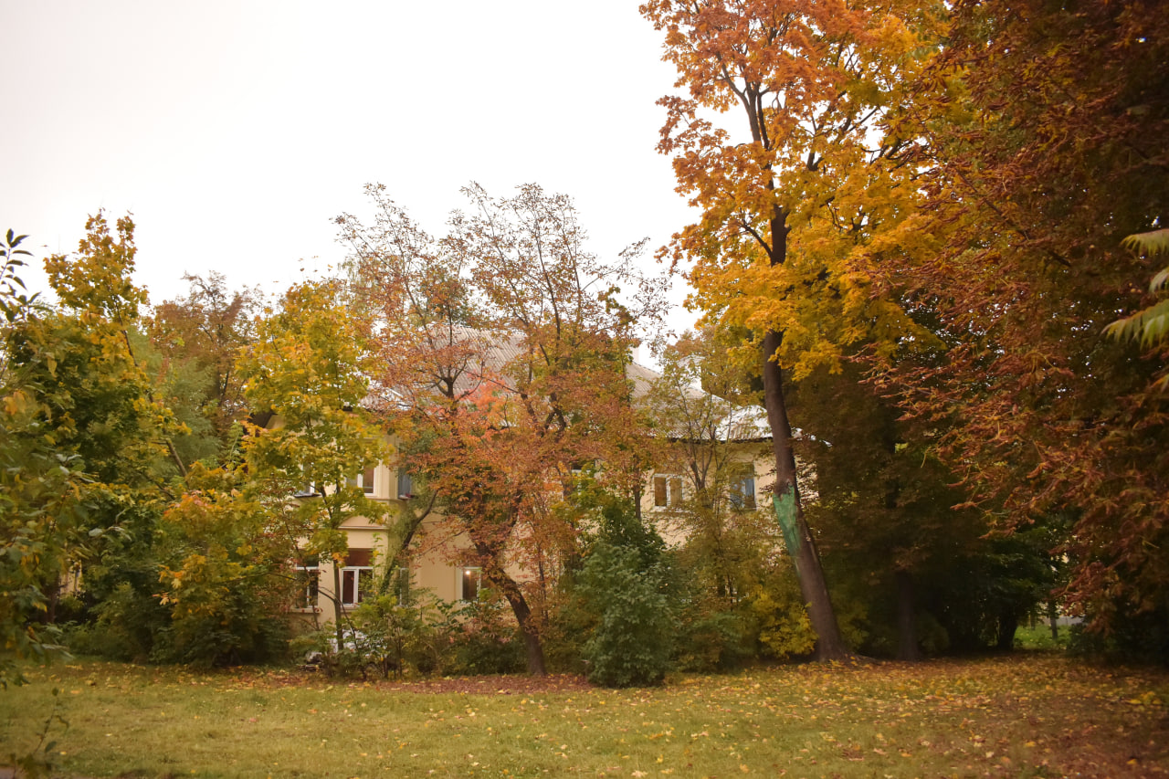 двор Осмоловка осенний пейзаж
