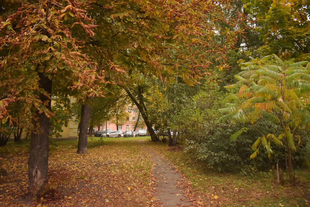 осенний пейзаж