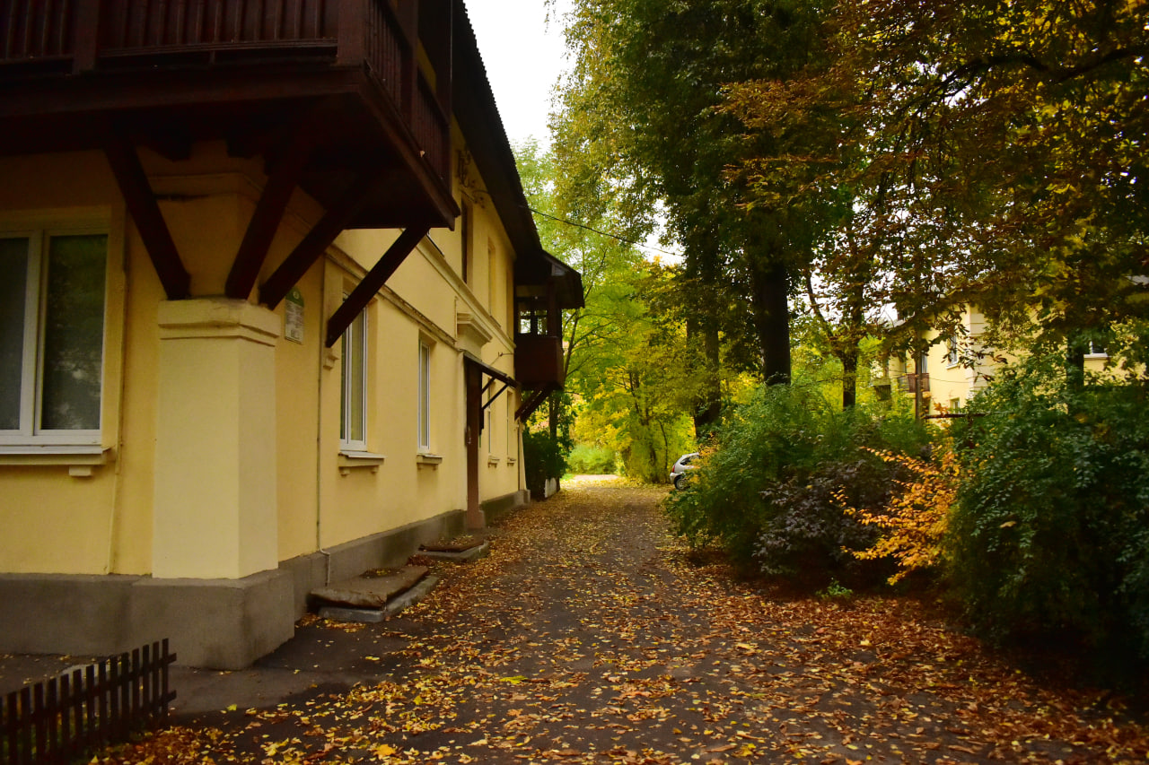 двор осень листья