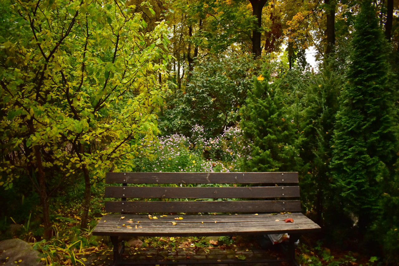 скамейка двор