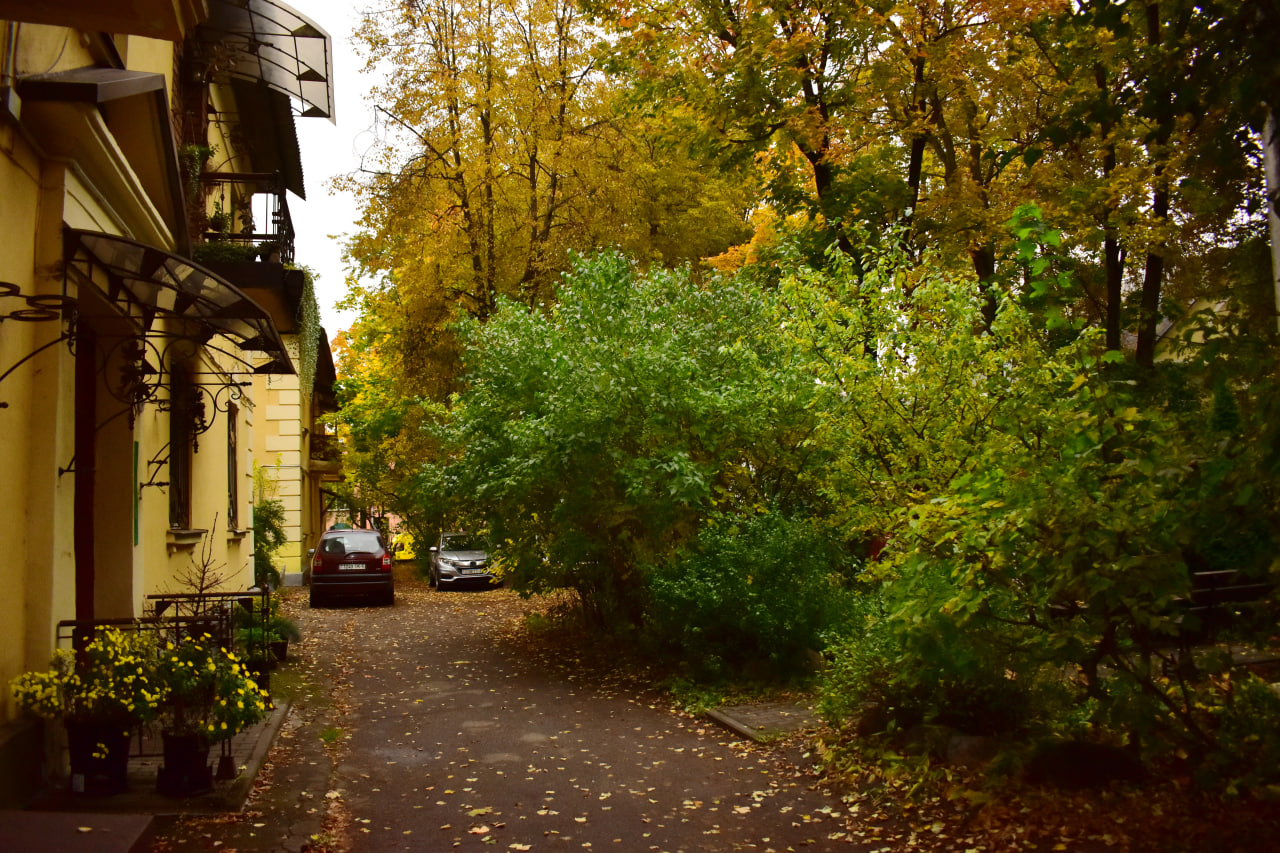 во дворе осень