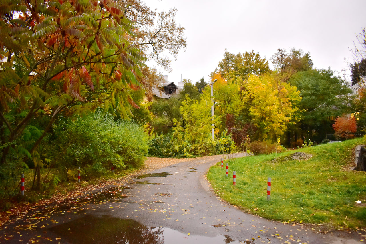 дорога осень Осмоловка