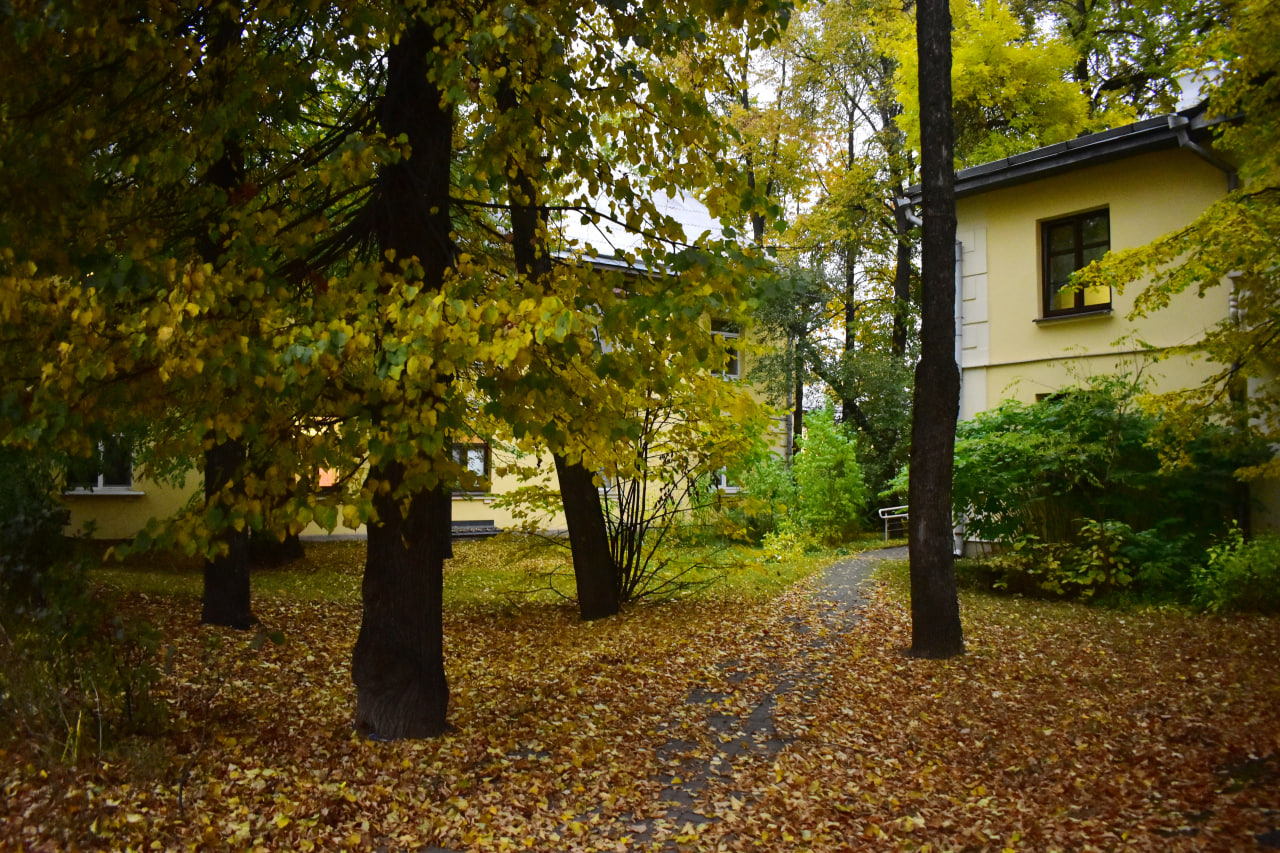 тропинка осень Осмоловка