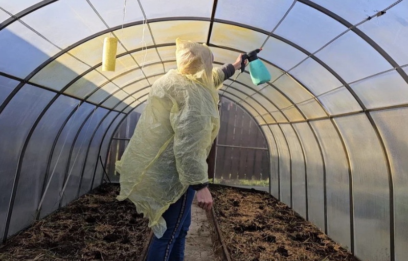 Уборка теплицы