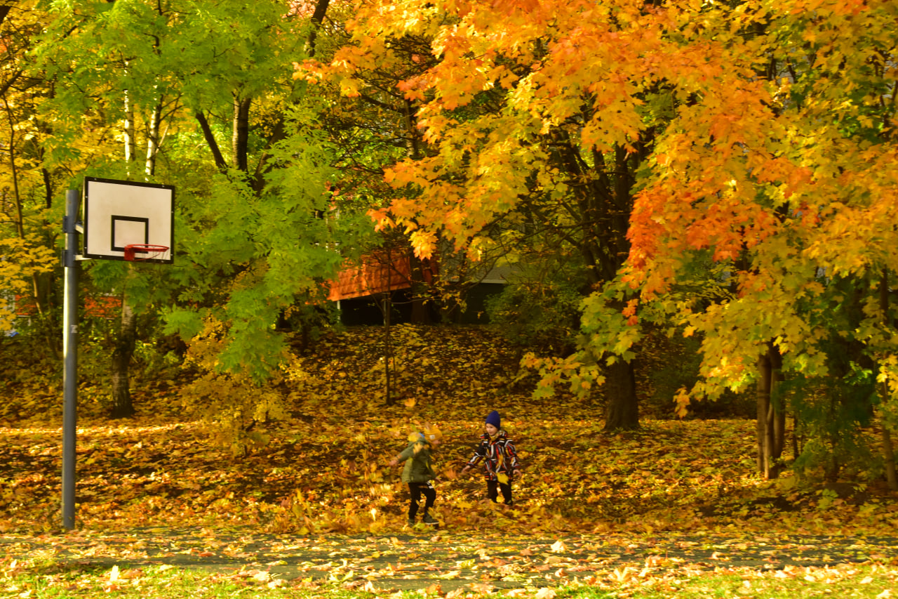 Курасовщина осень листья дети