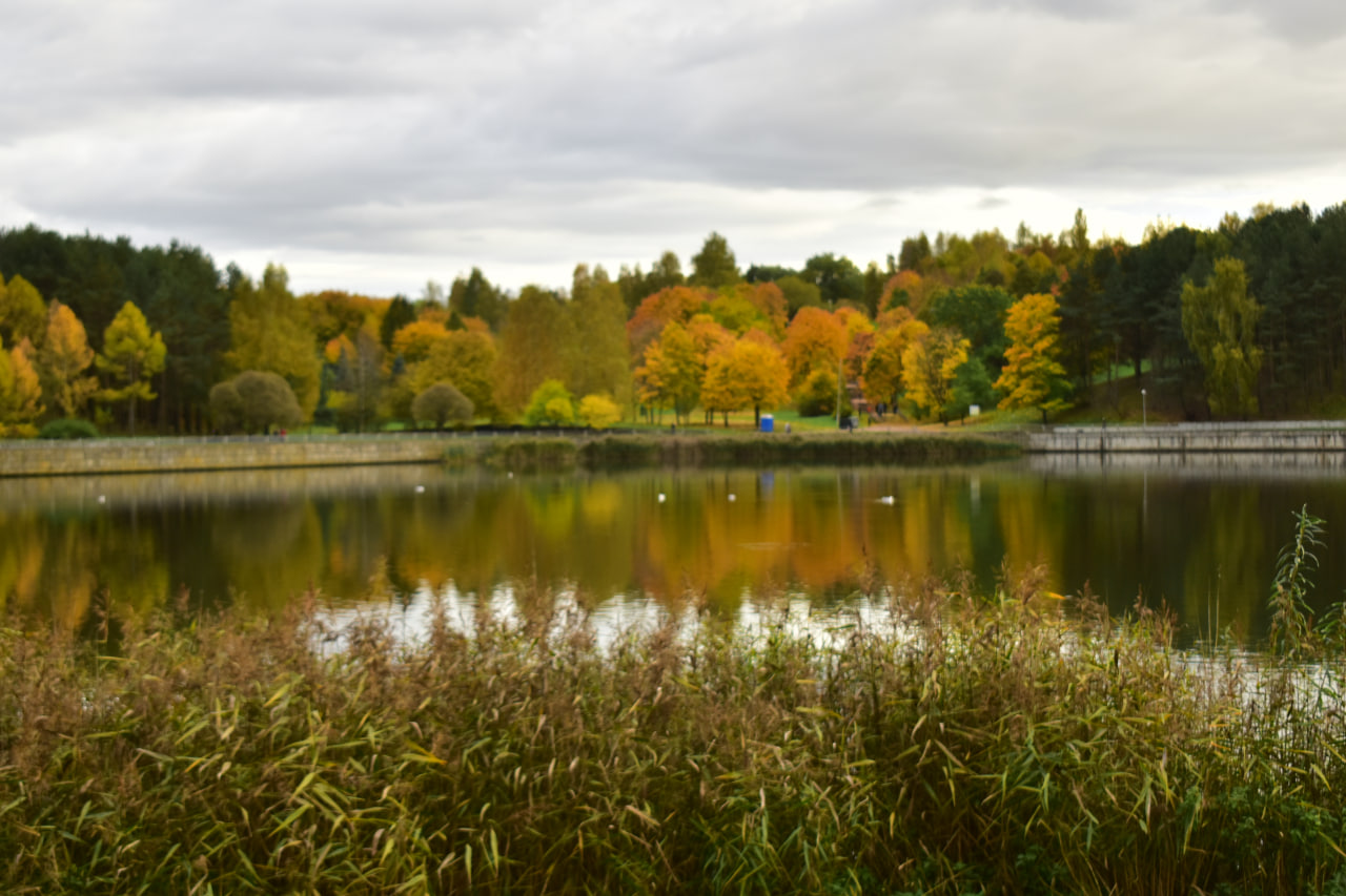 водоем осень