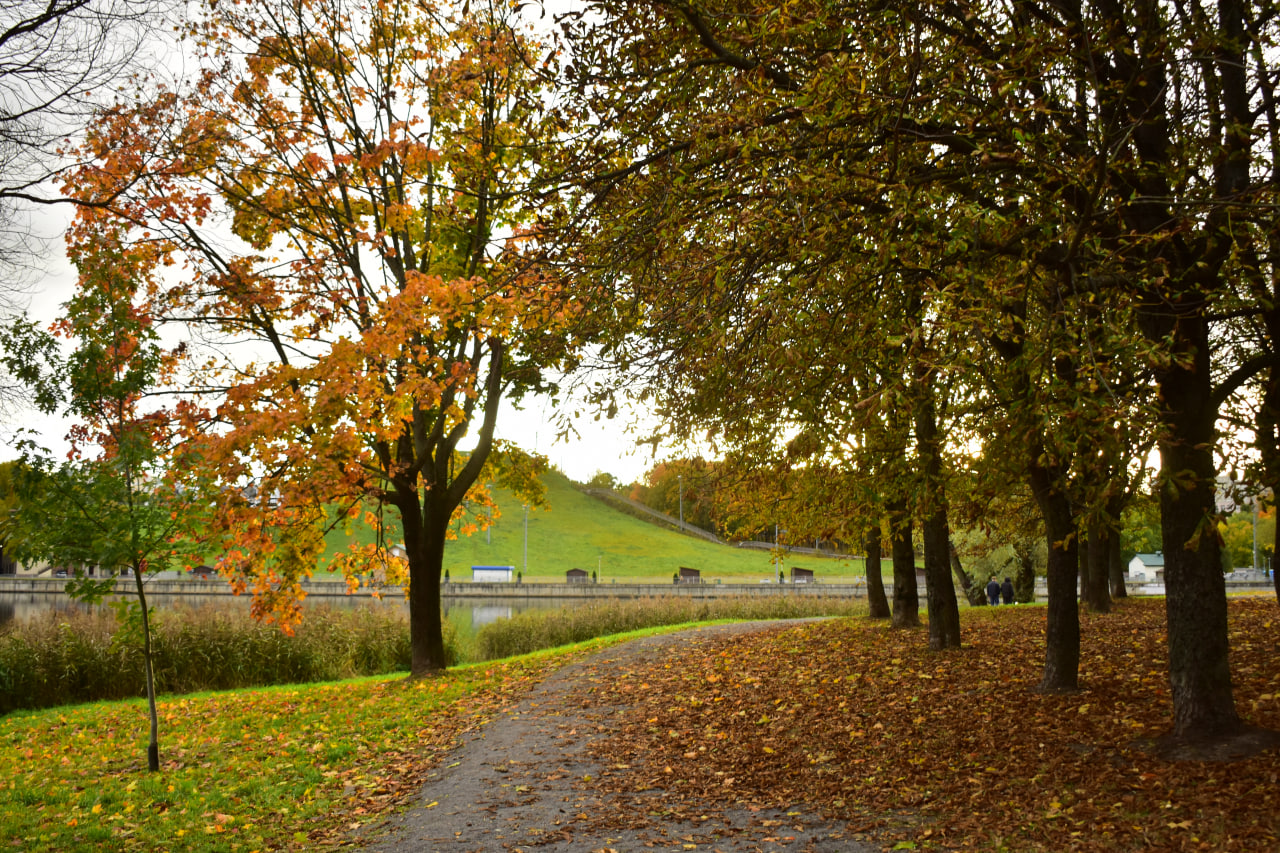Курасовщина дорожка
