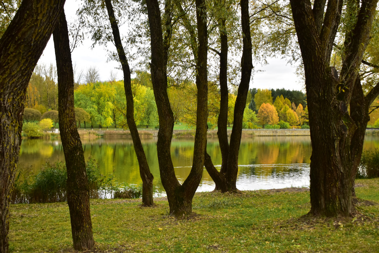 водохранилище Лошица