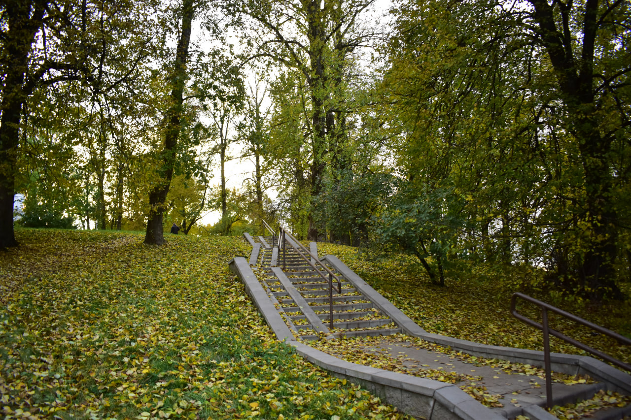 лестница осень 