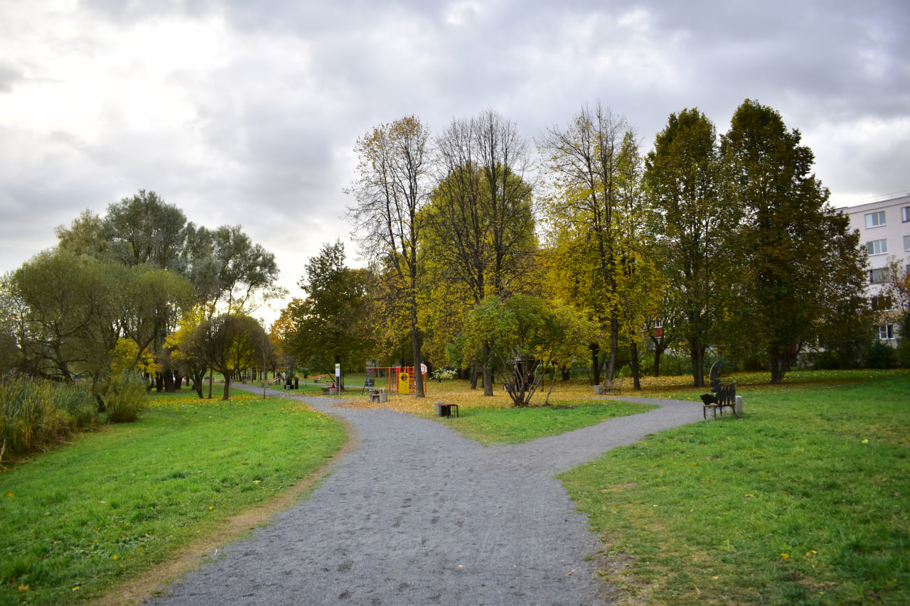 Курасовщина зона отдыха
