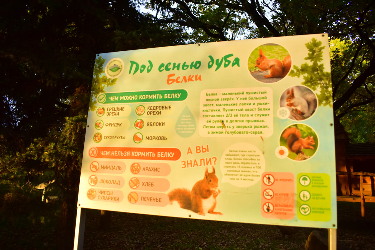 стенд белки