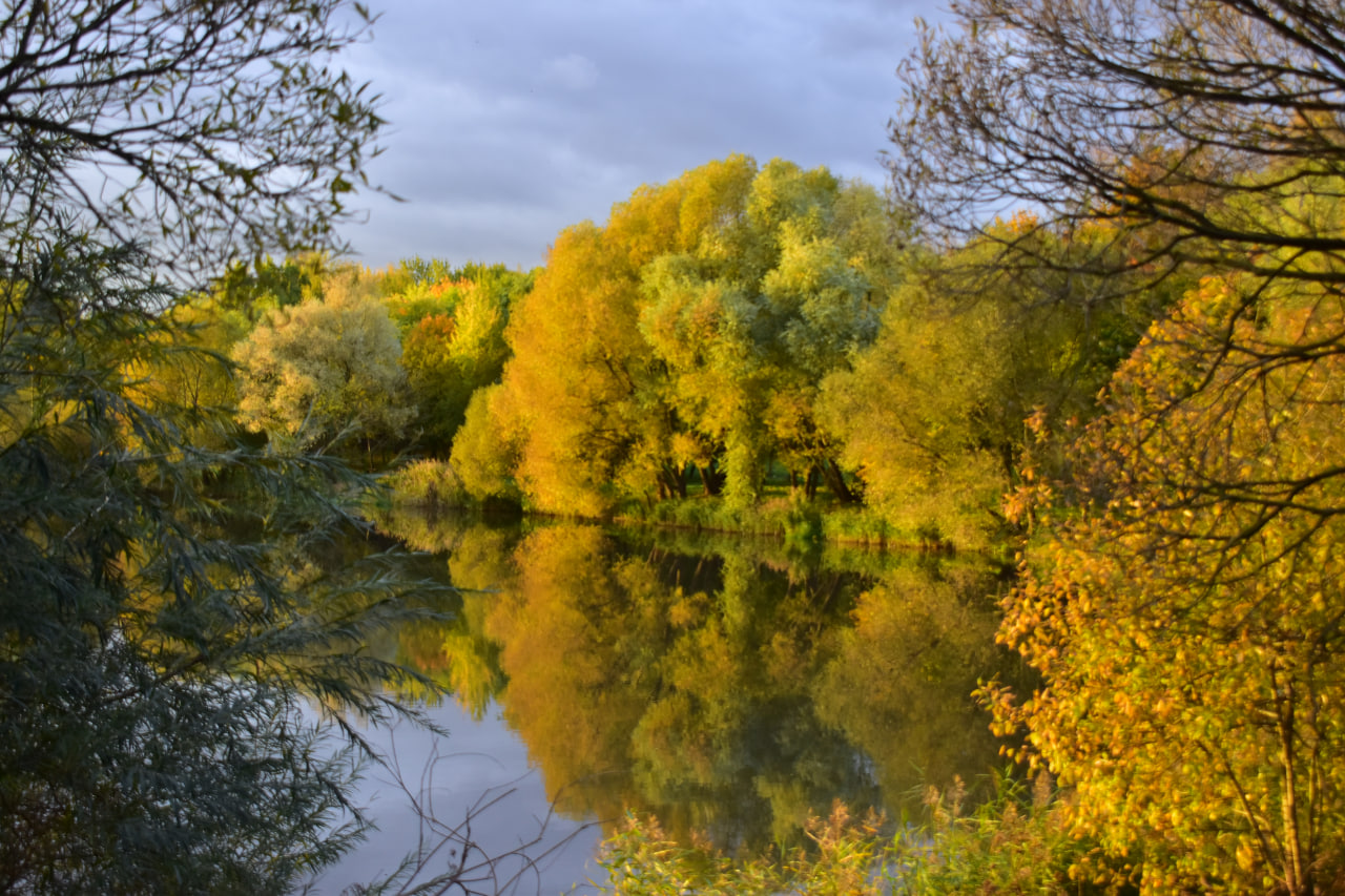 природа осень Лошица