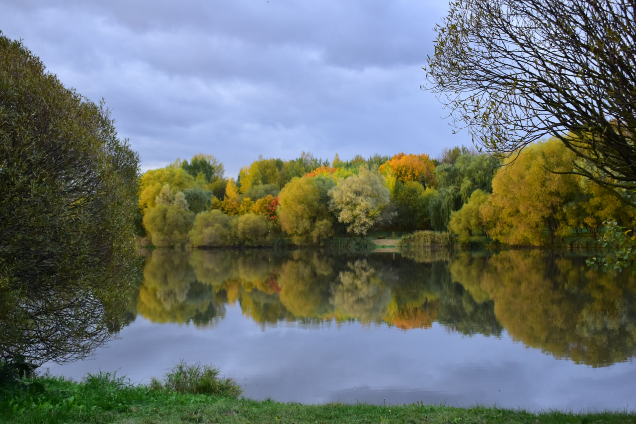 Лошица водоем осень