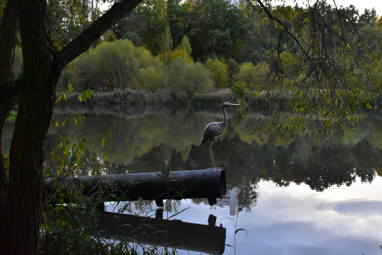 цапля экотропа