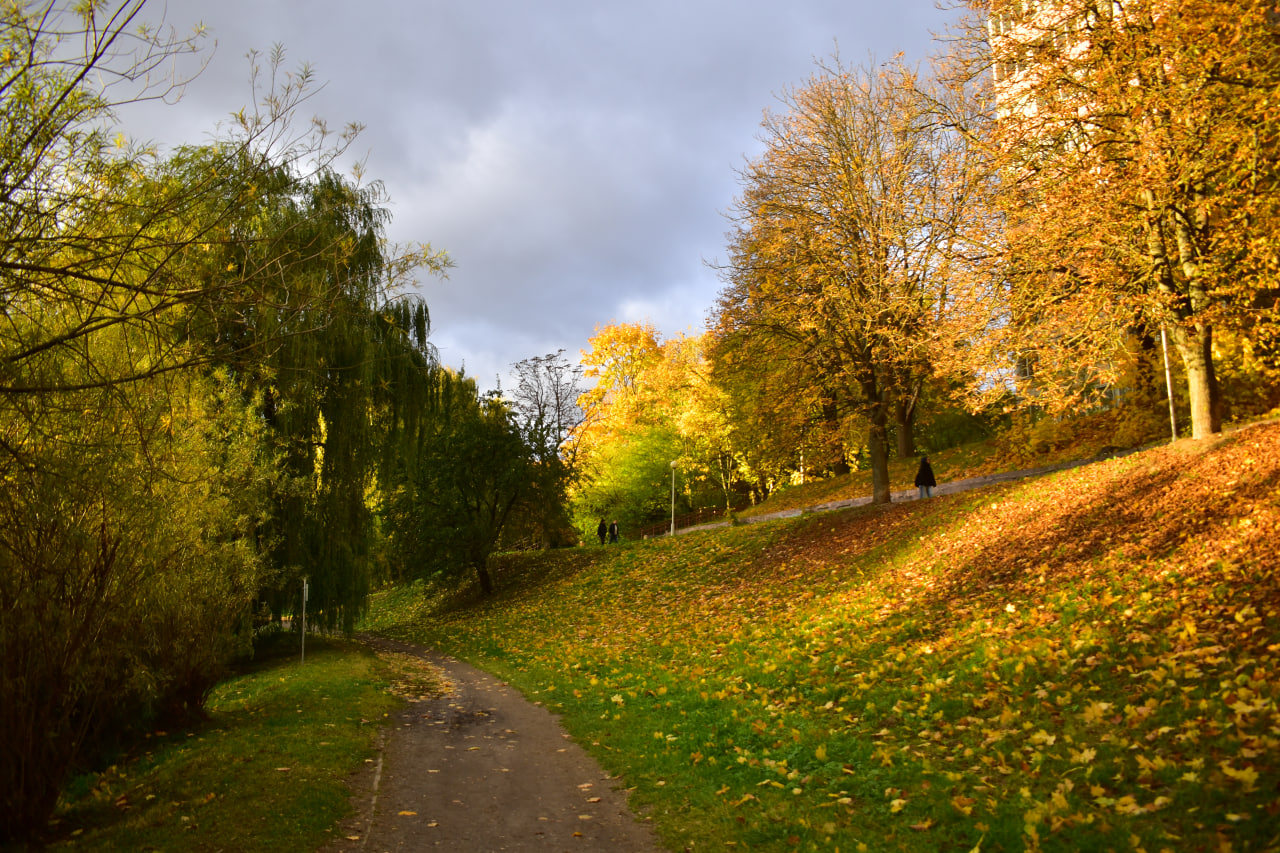 Курасовщина осень