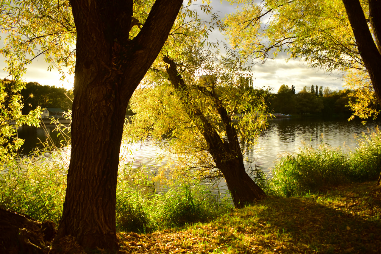 Курасовщина водоем