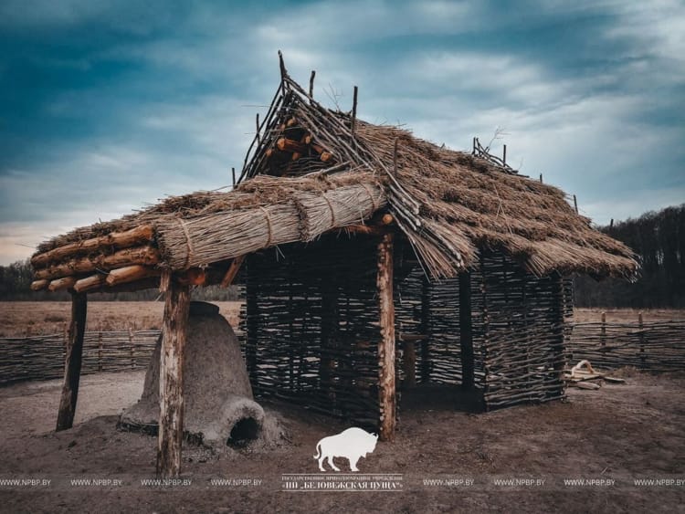 Археологический музей в Беловежской пуще