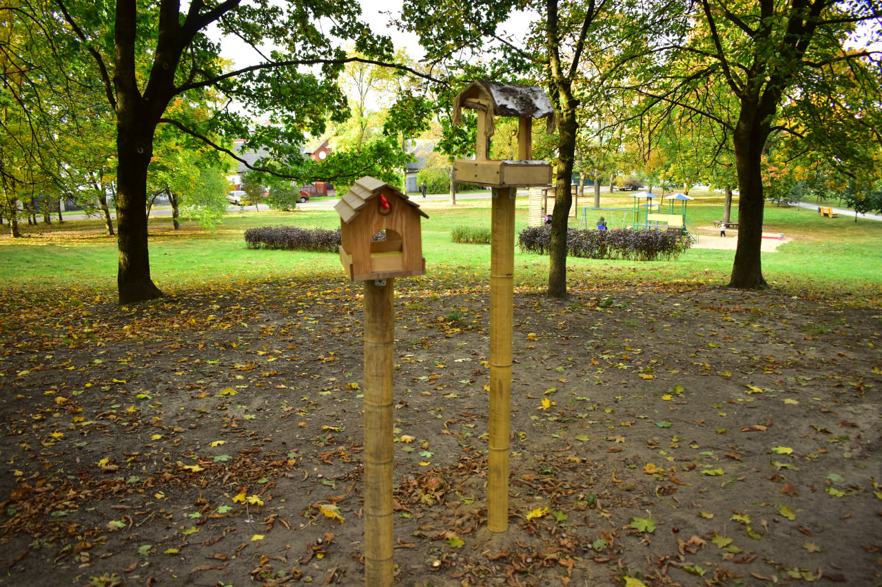 кормушки сквер