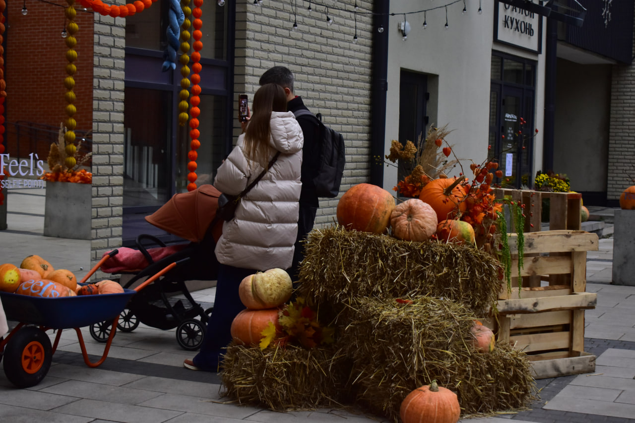 осенние декорации