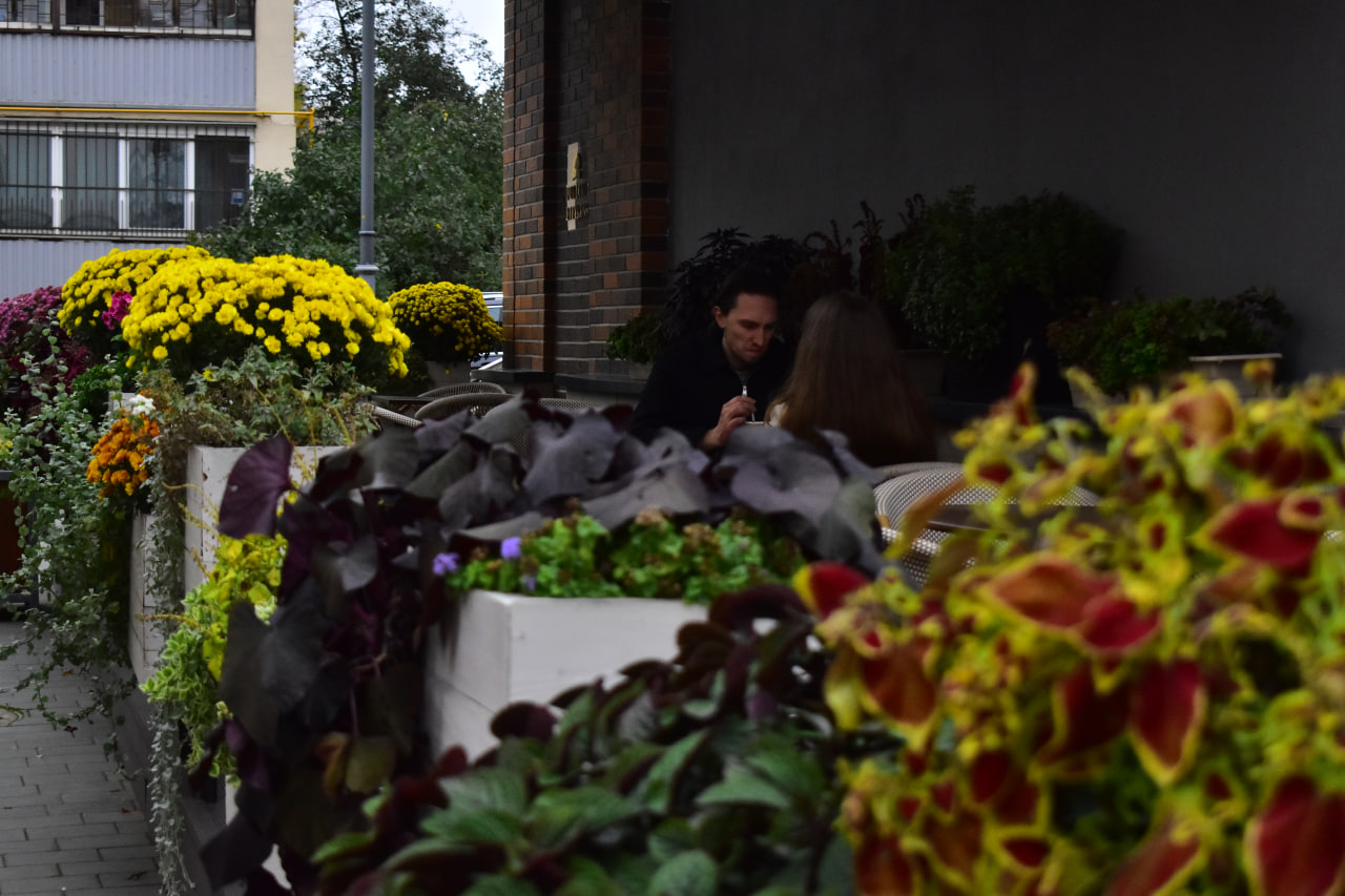 Осенние цветы