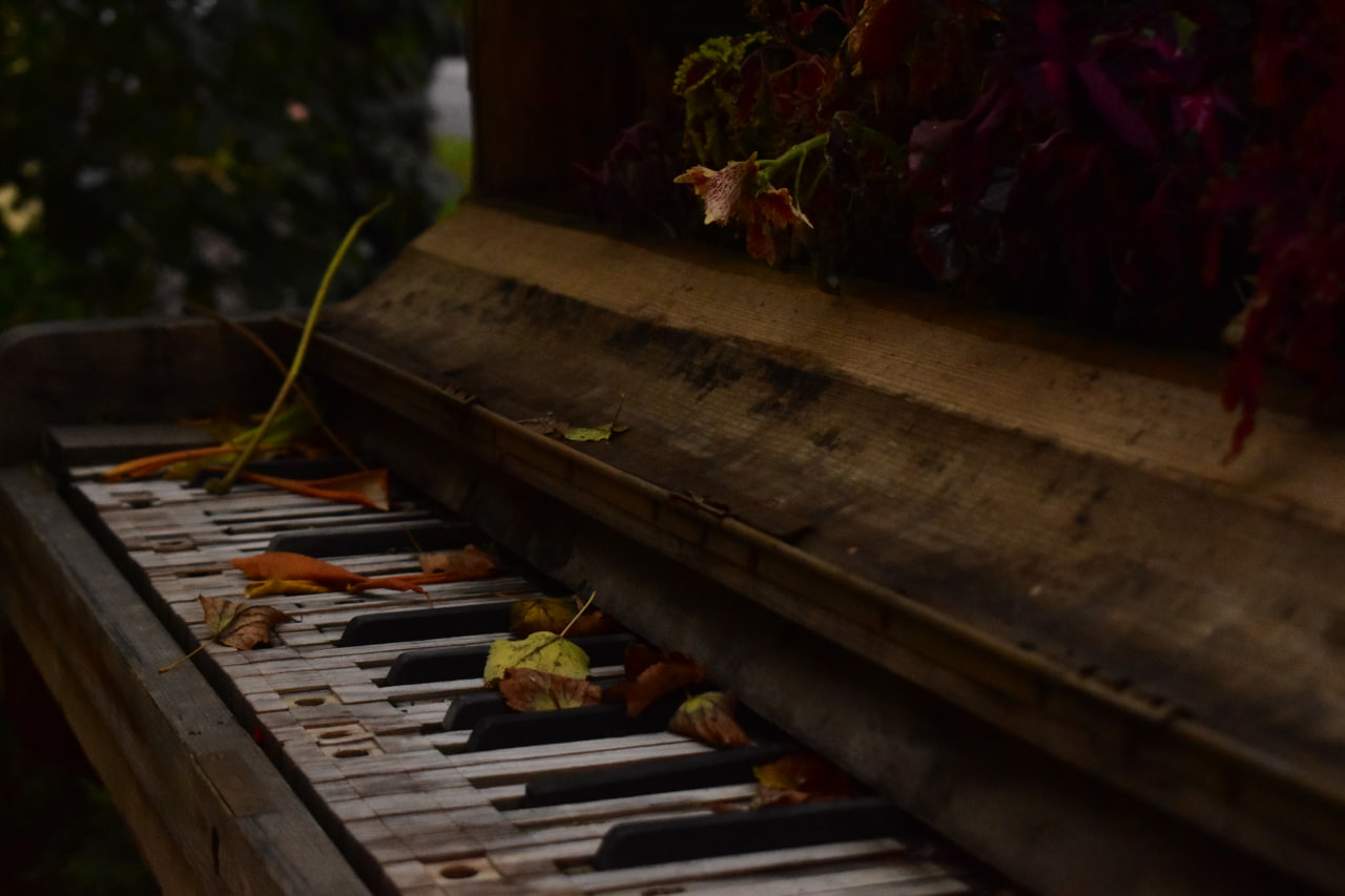 фортепьяно листья