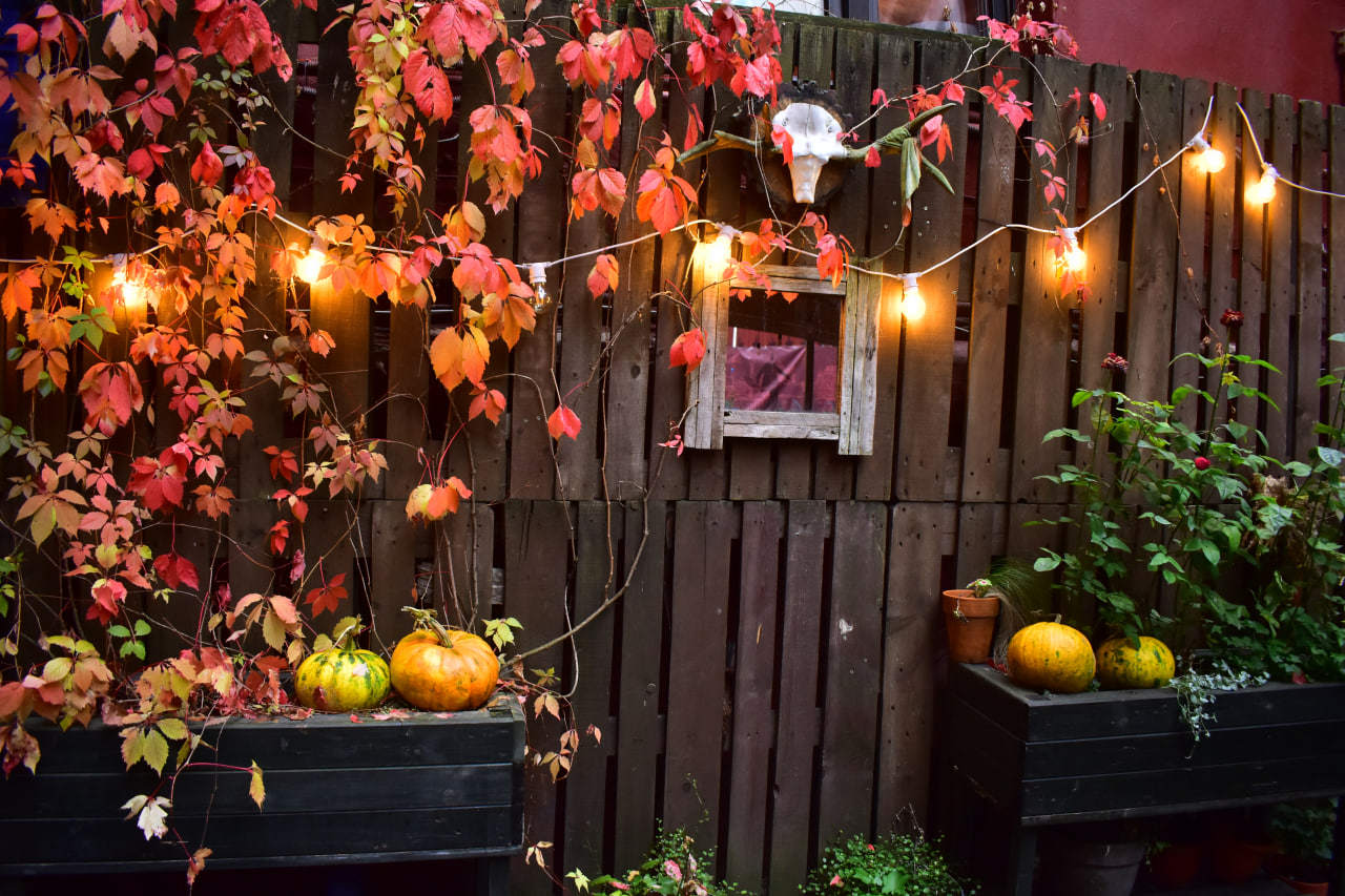 осенняя фотозона