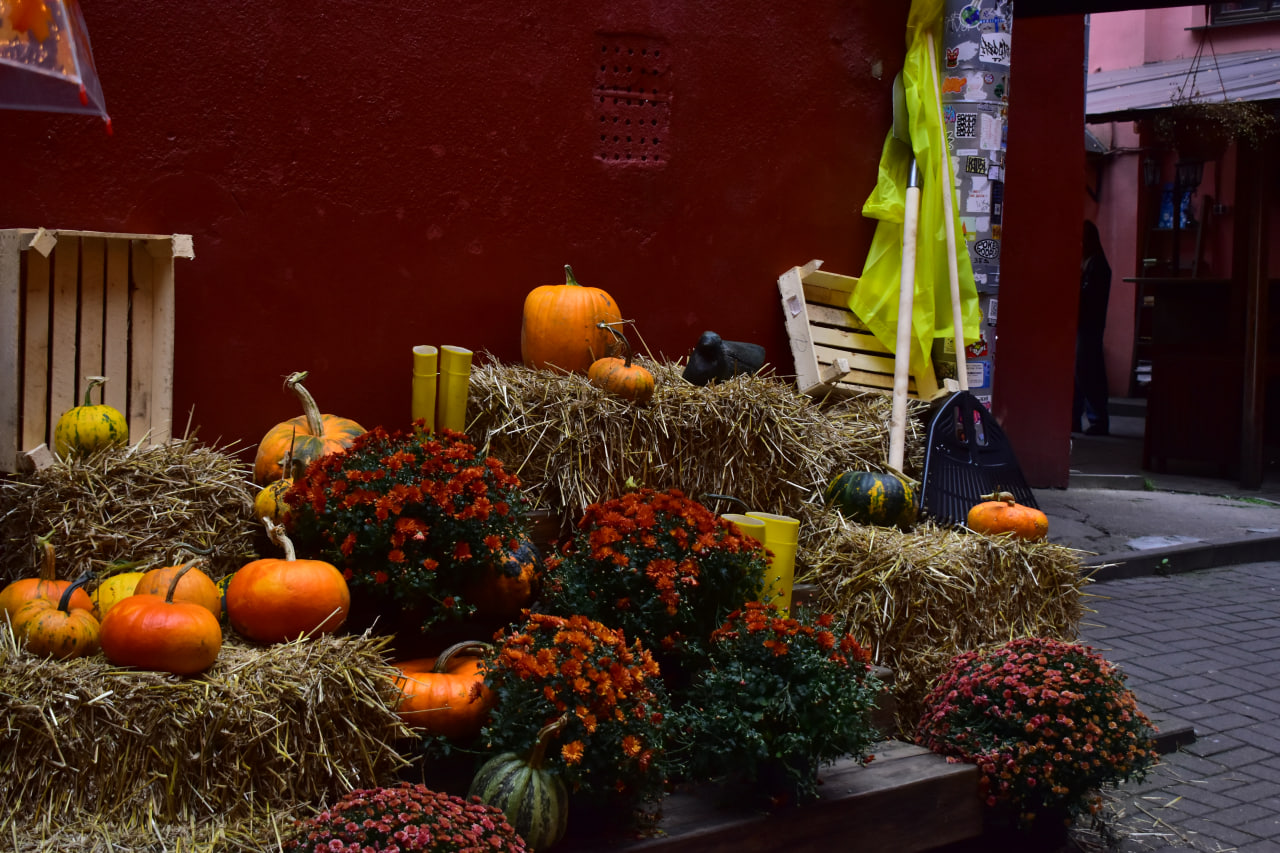 фотозона осень