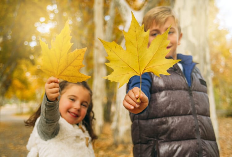 Осенние каникулы 2025 в Витебске: куда пойти с ребёнком со 2 по 9 ноября