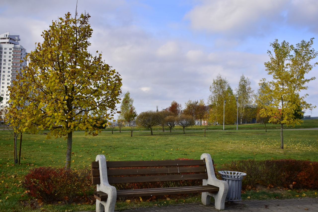 осень скамейка