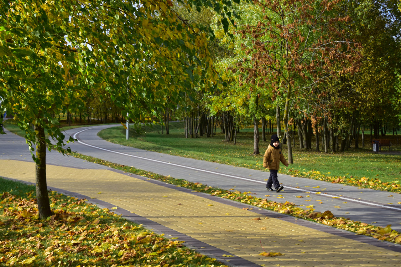 осень прогулка ребенок