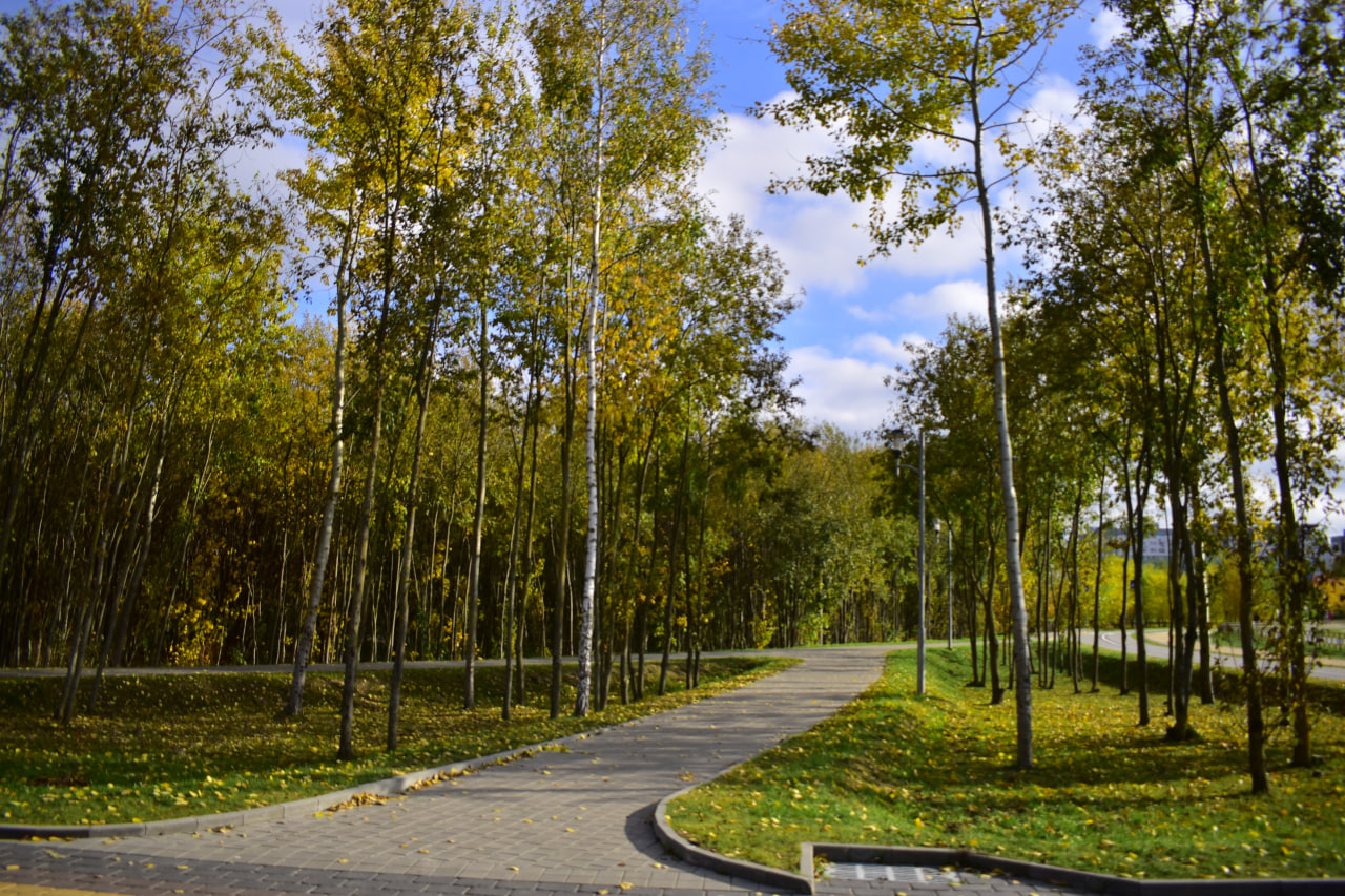 осень парк Уго Чавеса