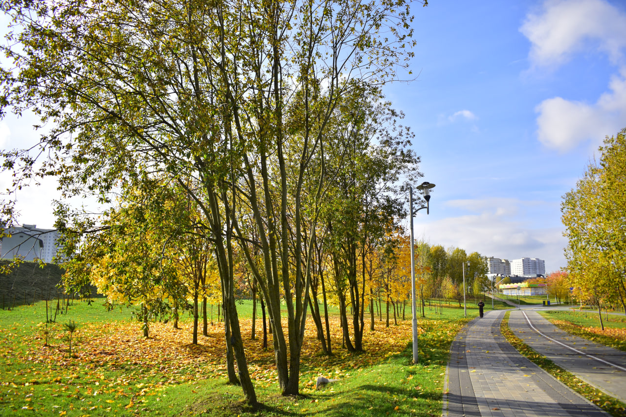парк Уго Чавеса осень